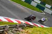 cadwell-no-limits-trackday;cadwell-park;cadwell-park-photographs;cadwell-trackday-photographs;enduro-digital-images;event-digital-images;eventdigitalimages;no-limits-trackdays;peter-wileman-photography;racing-digital-images;trackday-digital-images;trackday-photos